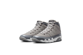 Air Jordan 9 'Cool Grey'